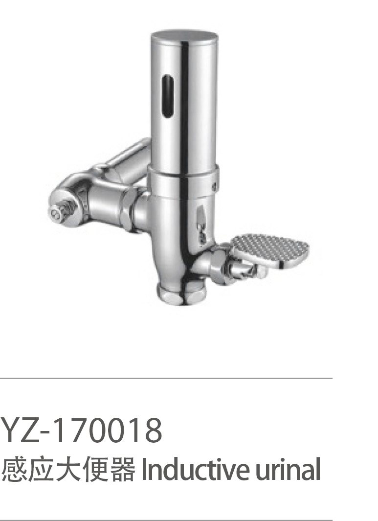 YZ-170018